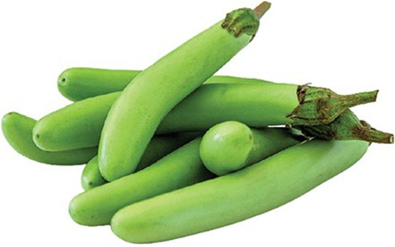 PMB Brinjal green long Vegetable Seed  (20 per packet)