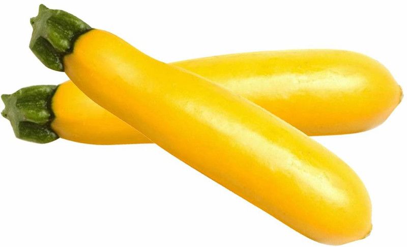 Qualtivate ® Imported American Zucchini Banana Seeds(25 Seeds) Seed  (25 per packet)