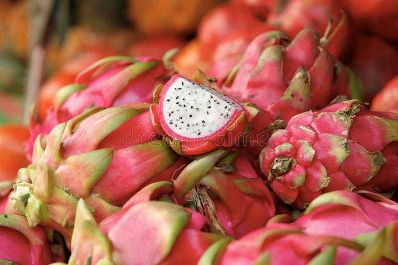 Oliver dragon fruit seeds Seed  (64 per packet)