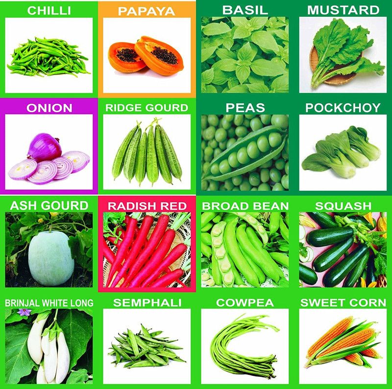 VibeX (Organic/Hybrid) Fruits & Vegetables Seed Seed  (1785 per packet)