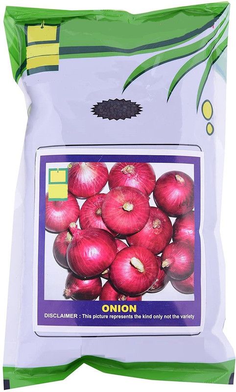 WILLVINE VVI-990 Onion Seeds Seed  (1000 per packet)