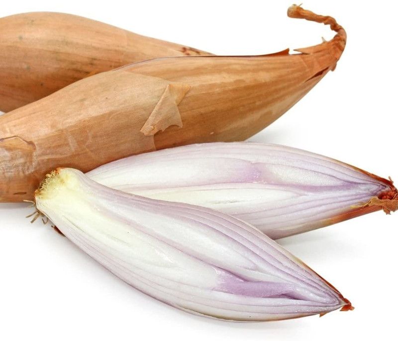 WILLVINE ™Vegetable Seeds, Shallot - Zebrune, V-SHA-01 Seed  (2500 per packet)