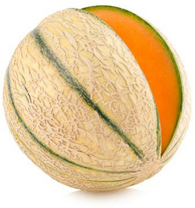 MRCY Charentais Melon/Musk Melon Seed  (500 per packet)