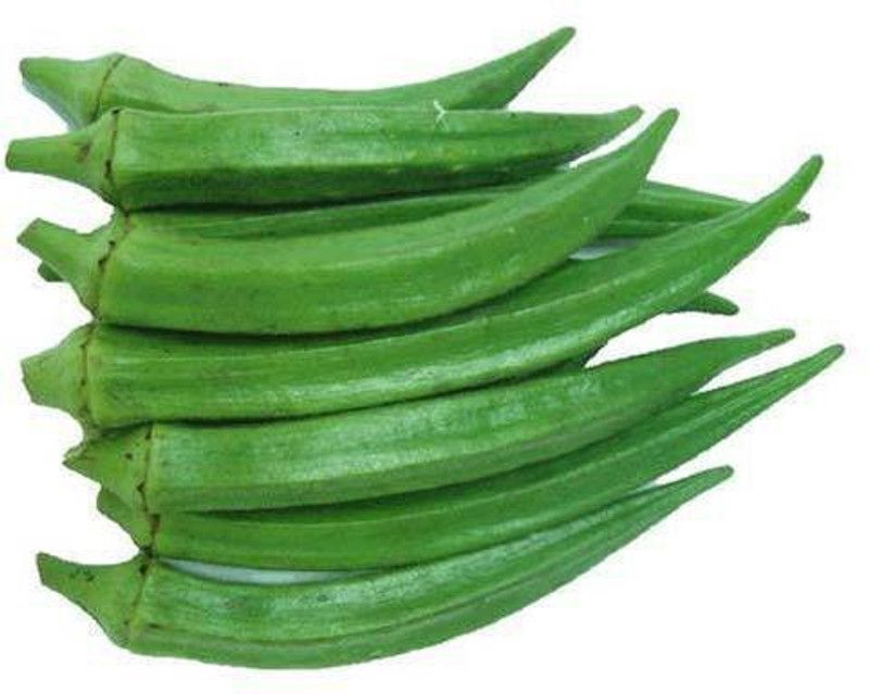Mozette Lady finger Seed  (40 per packet)