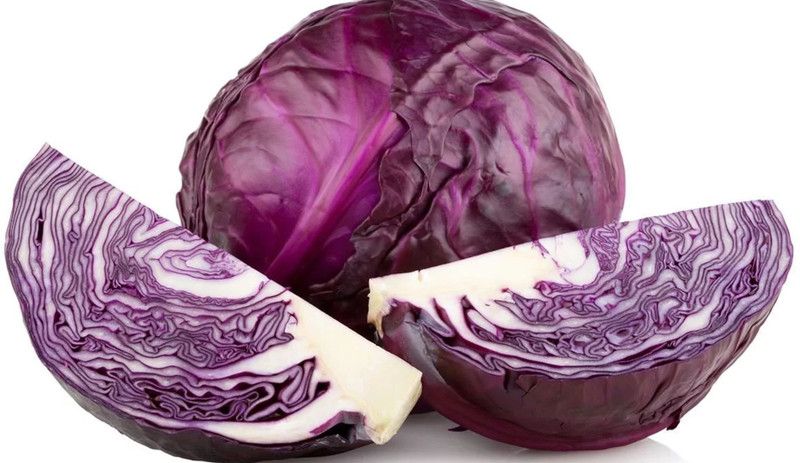 XOLDA Hybrid Cabbage Red Seed  (74 per packet)