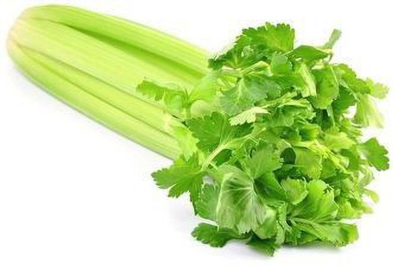 PLANTZON Celery Seed  (24 per packet)
