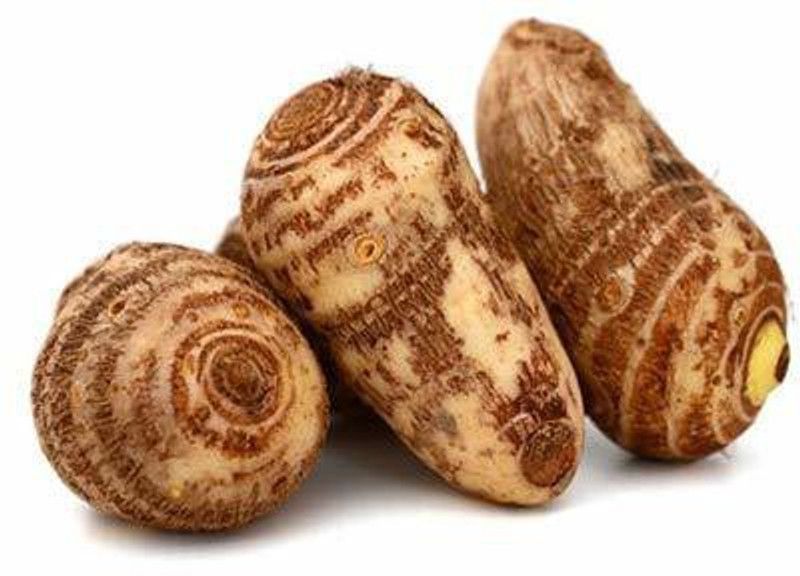 KANAYA Taro Root/Arbi Bulbs Seed  (11 per packet)