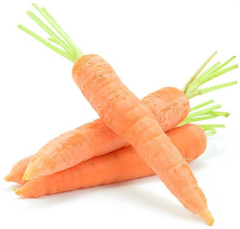 Platone Carrot Seed  (15 per packet)