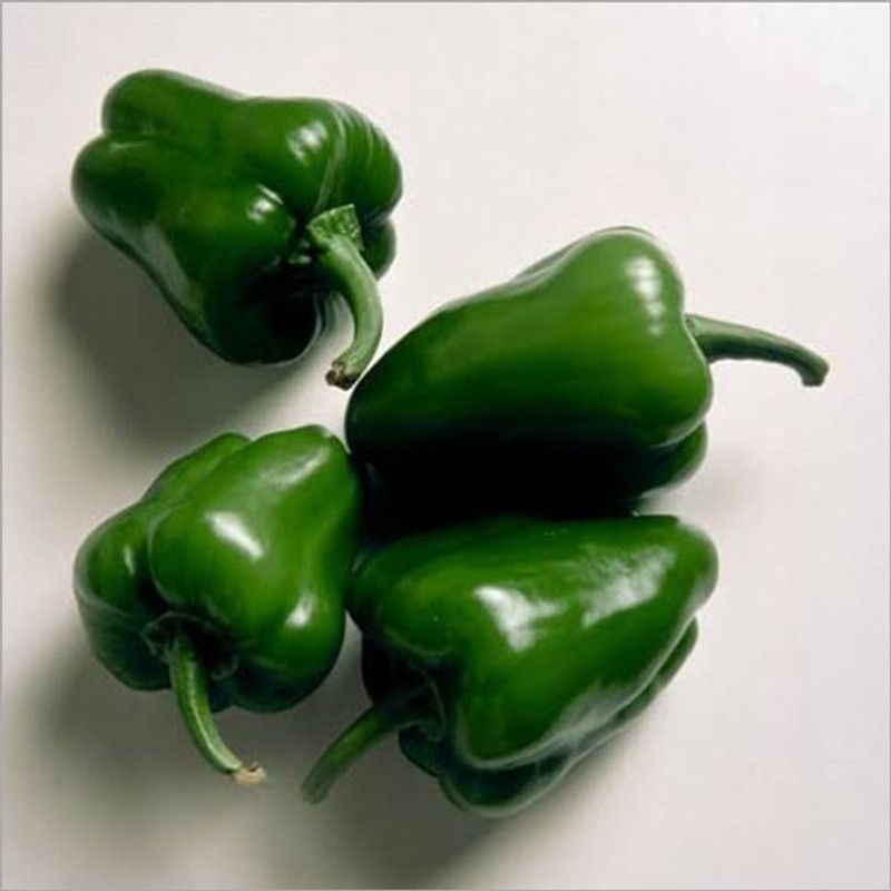 Advance seeds Green Capsicumseeds Seed  (50 per packet)