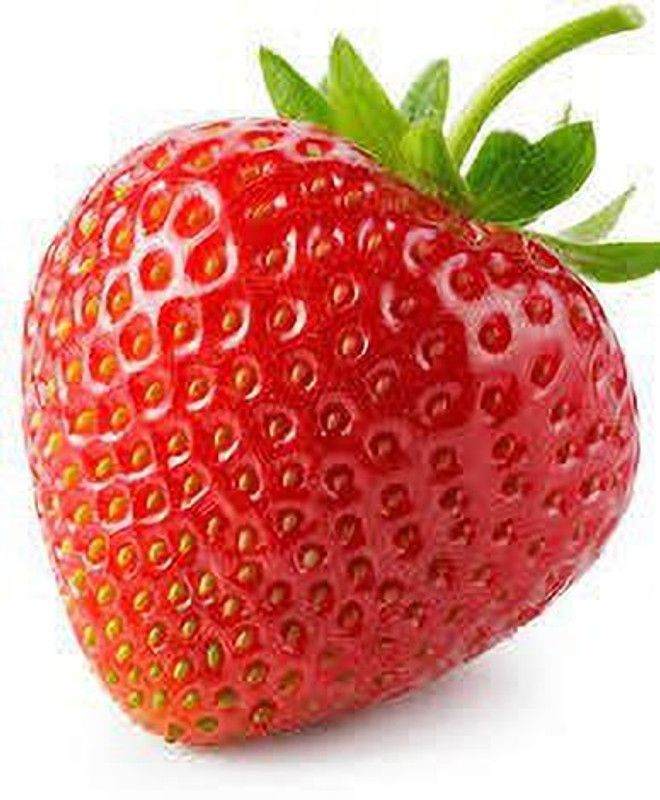 Qualtivative STRAWBERRY FRUIT SEED Seed  (105 per packet)