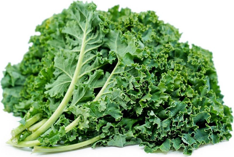 Nodoc Kale Green Seed  (49 per packet)