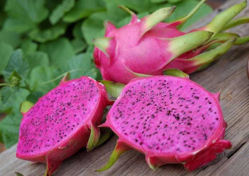 Oliver imported@ hybrid dragon fruit seed Seed  (130 per packet)