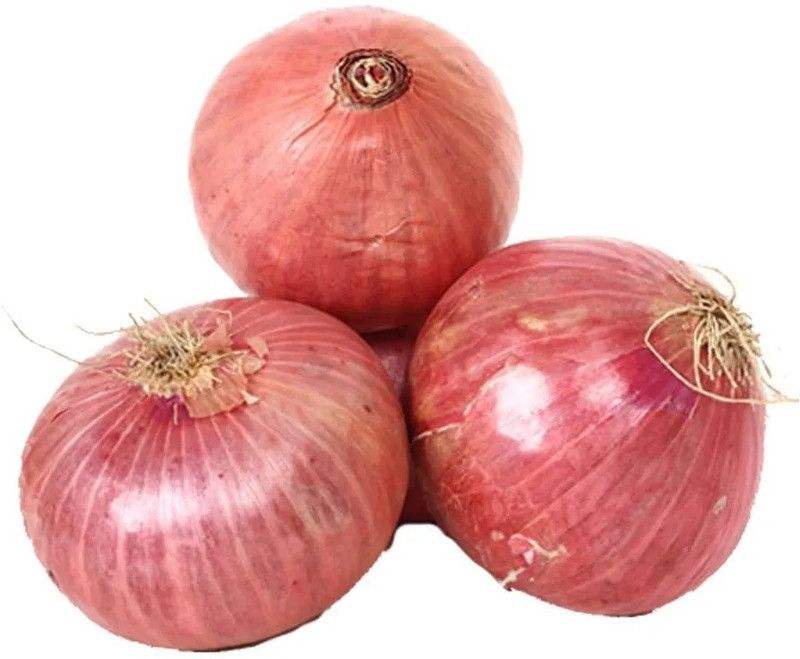 Paudha Organic Onion Plant Seed  (58 per packet)