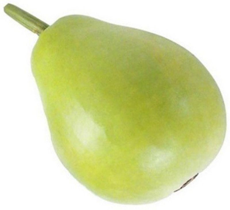 UGRA Bottle Gourd Gol Ghiya Seeds Seed  (500 per packet)