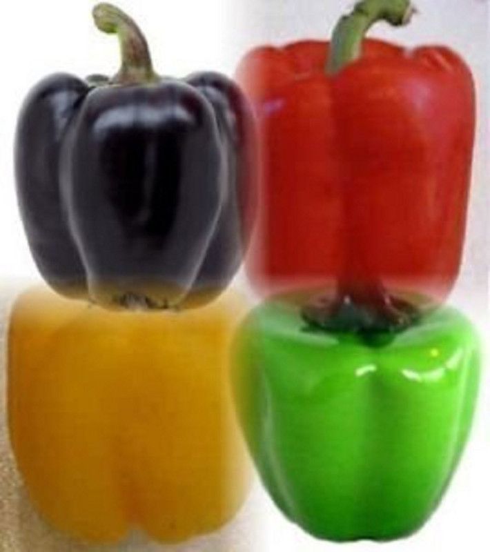 NeLeSa Gardening Pepper Seed  (20 per packet)