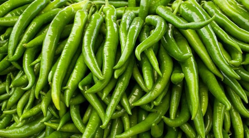 KANAYA Chilli Seed  (475 per packet)