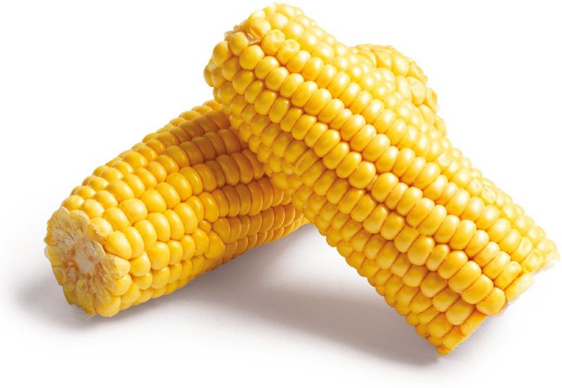 Paudha Sweet corn Seed  (41 per packet)