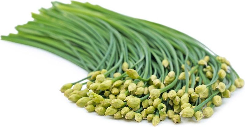 Paudha Garlic chives Seed  (26 per packet)