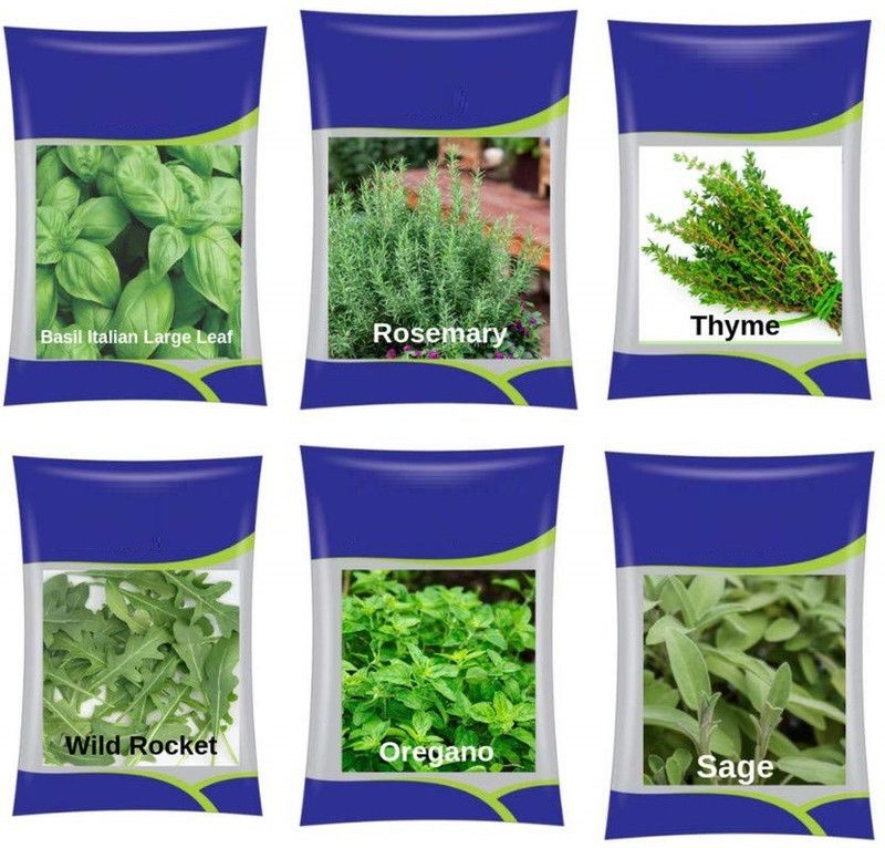VibeX ™ XLL-899- Rosemary, Thyme, Oregano, Italian Basil, Basil Purple, Sage Seed  (50 per packet)