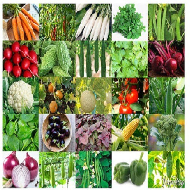 Advance seeds Natural MIX VEGETBLE SEEDS ( pack of 50) Seed  (50 per packet)