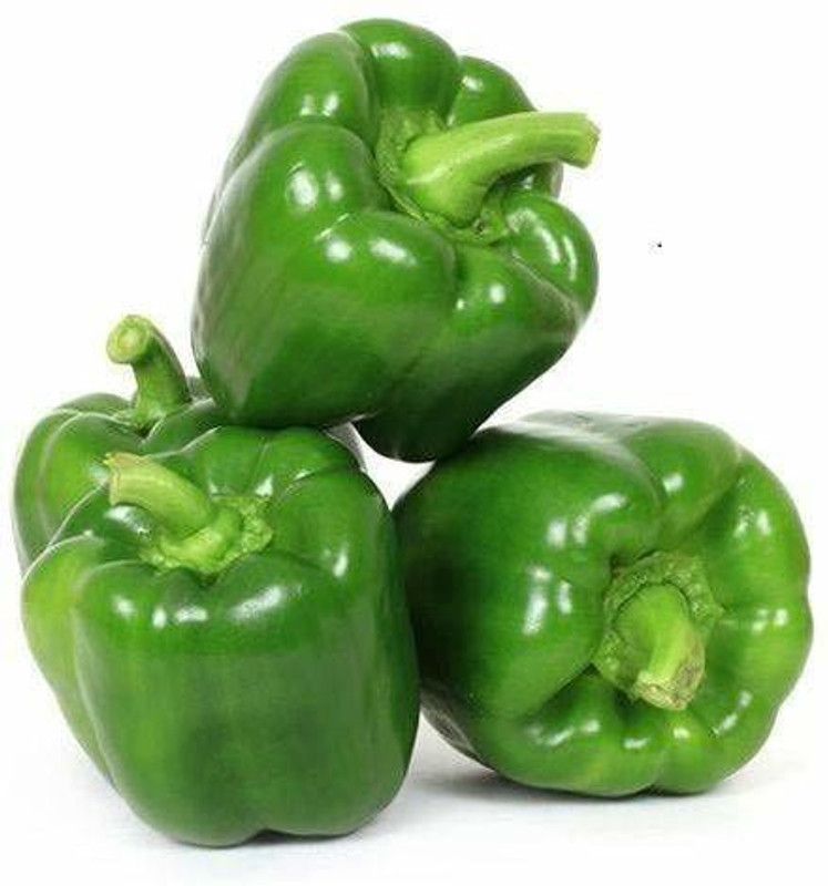 DIOART F1 HYBRID CAPSICUM SEEDS-105 Seed  (200 per packet)