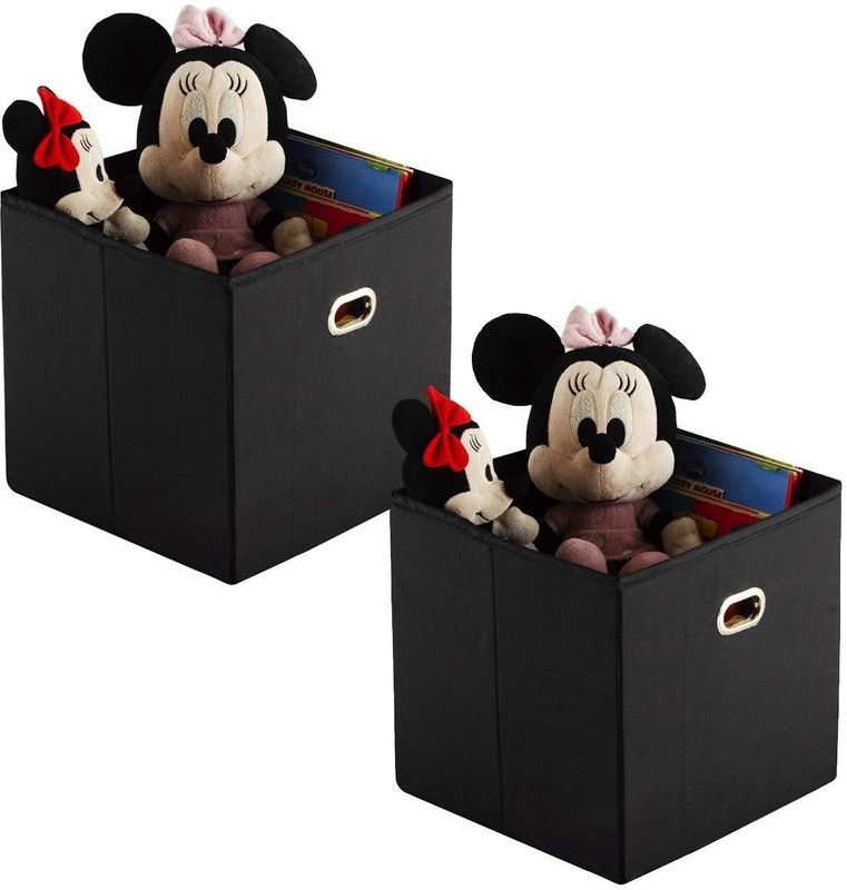 HomeStrap Premium 2 Piece Foldable Storage Box  (Black)