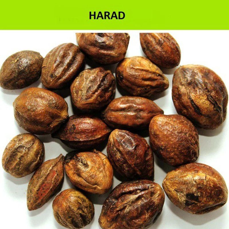 EasySeeds Harar, Harra, Harad ,Chebulic myrobalan ,Haritaki,Karedha , Katukka Seed  (1000 per packet)