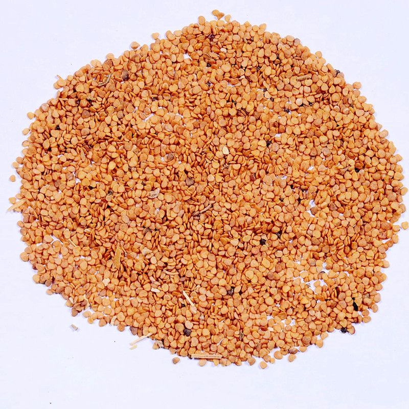Garden Craft Ashwaganda Seed  (10 per packet)