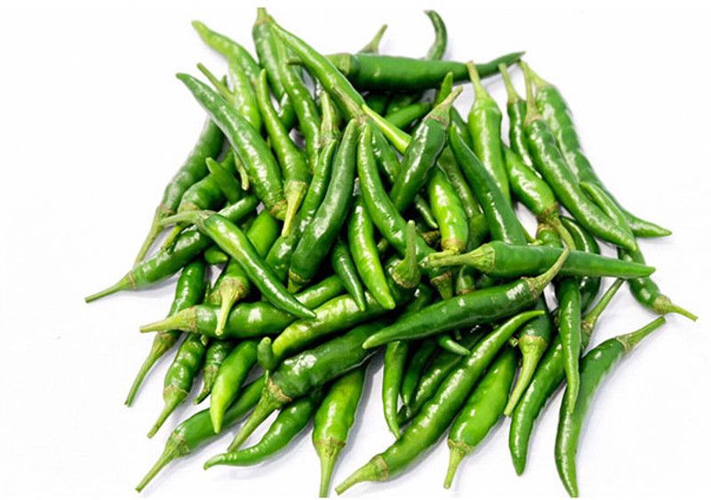 granthi High Quality Green Chilli हरी मिर्च Seed  (1000 per packet)
