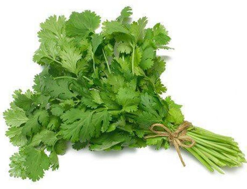 XOLDA Coriander Seed  (100 per packet)