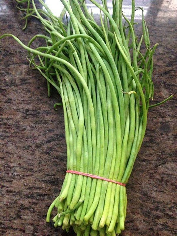 KANAYA Beans Singra Seed  (175 per packet)