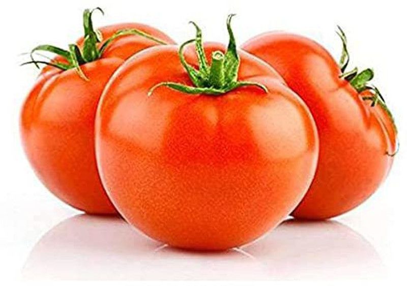 KANAYA Tamatar Seed  (300 per packet)