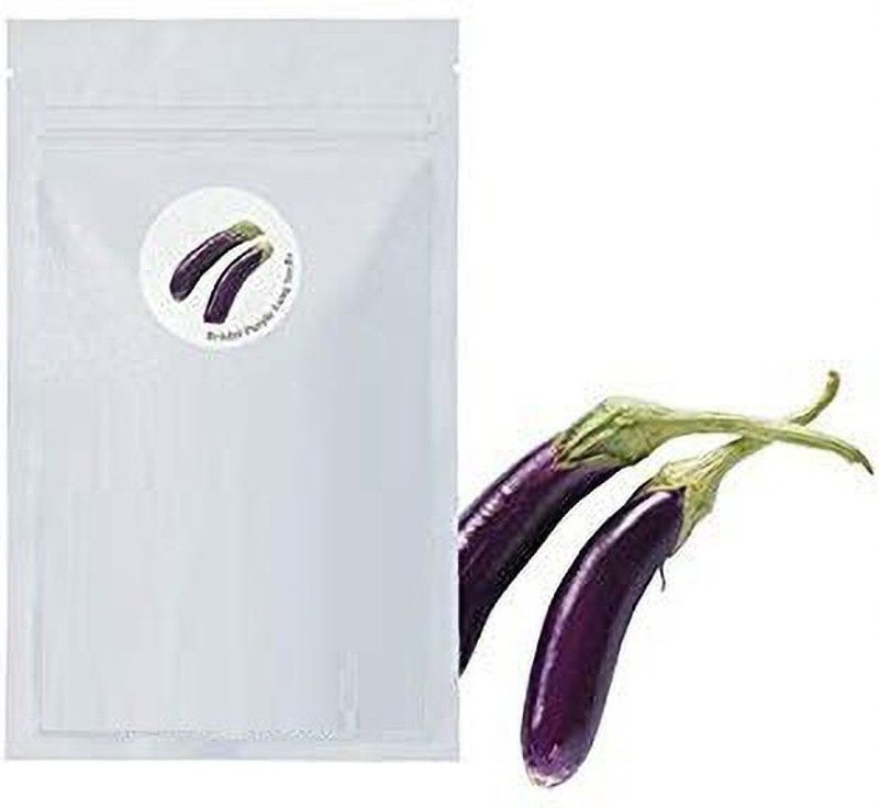 VibeX HUA-31 - Purple Brinjal Long Eggplant Aubergine - (150 Seeds) Seed  (150 per packet)