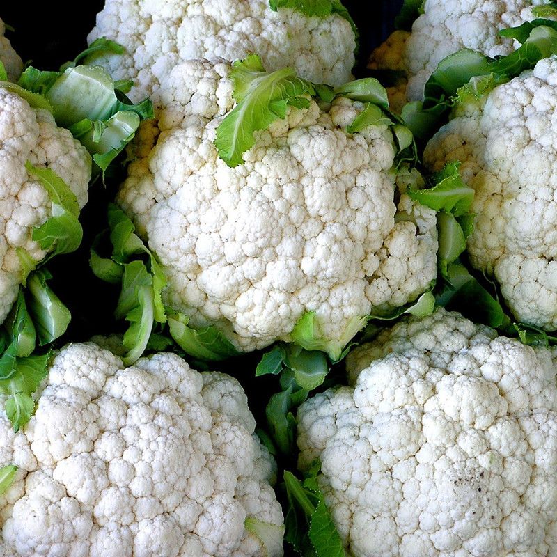 XOLDA CauliFlower Hybrid Seed  (52 per packet)