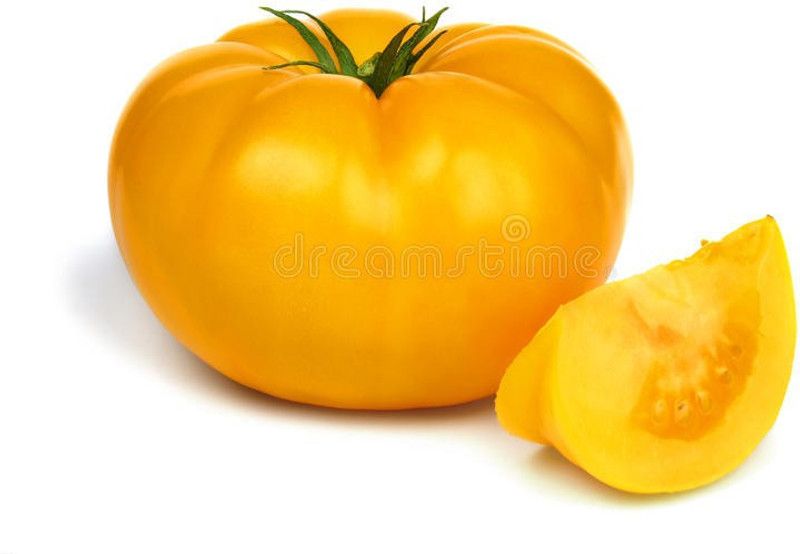 XOLDA Hybrid Tomato Yellow Seed  (64 per packet)