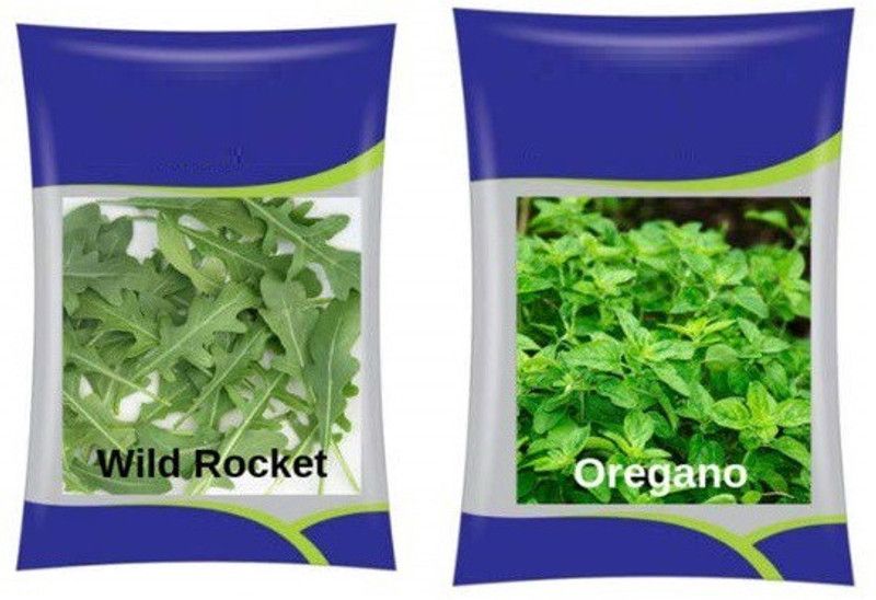 VibeX Herb Seed Combo Oregano,Wild Rocket Seed  (250 per packet)