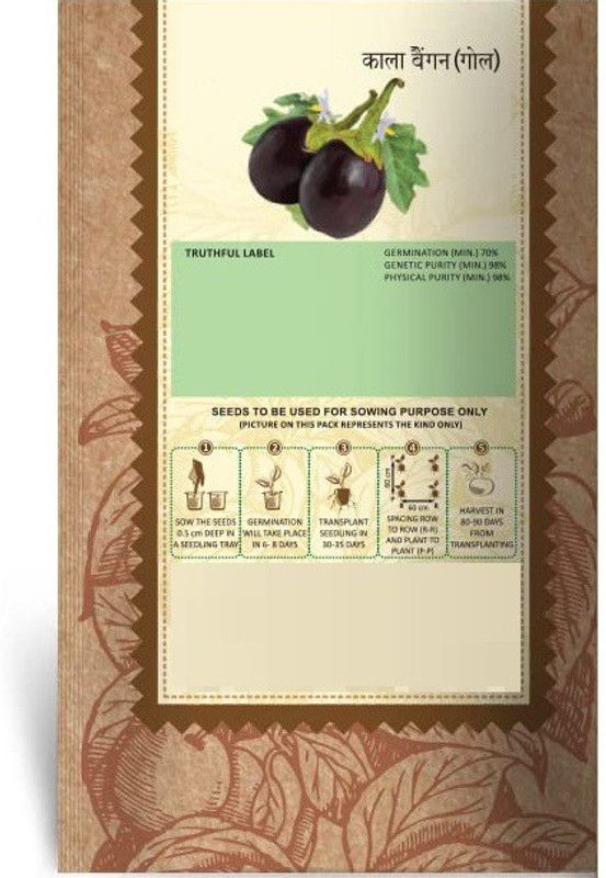 WILLVINE VVI-9 Round Black Brinjal Vegetable Seeds Seed  (400 per packet)
