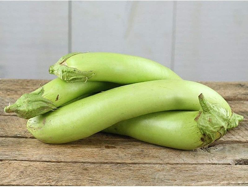 WILLVINE ATS-885 Thai Long Green Brinjal Seeds Seed  (200 per packet)