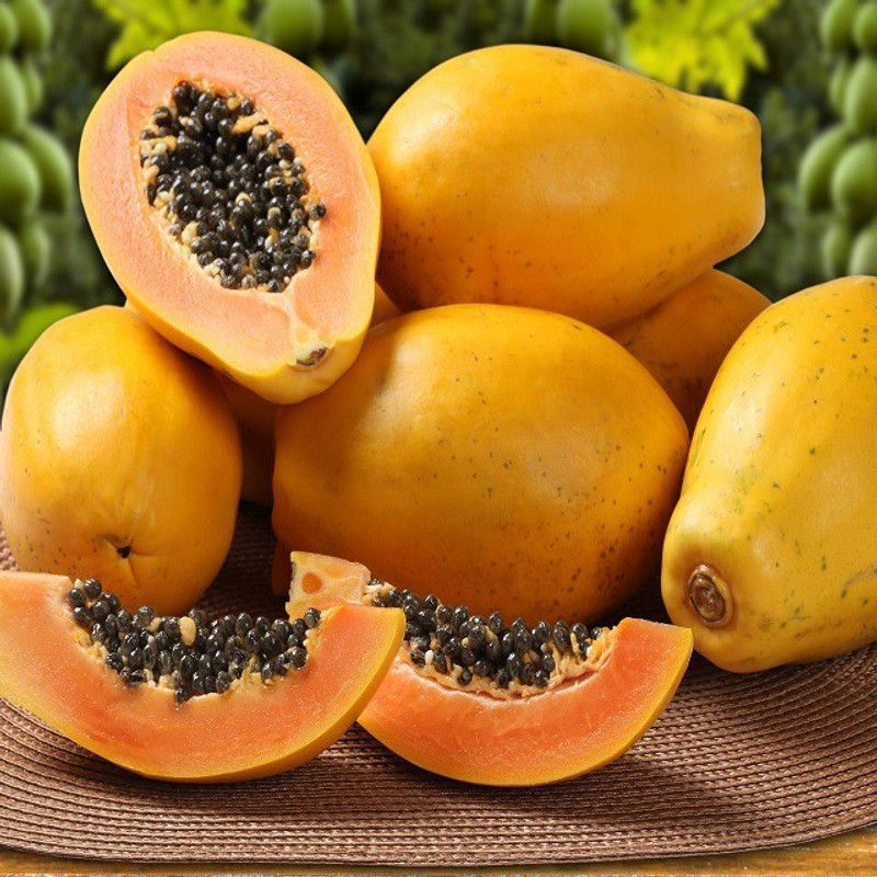 KLARKEE JUICY & SWEET PAPAYA SEED Seed  (250 per packet)