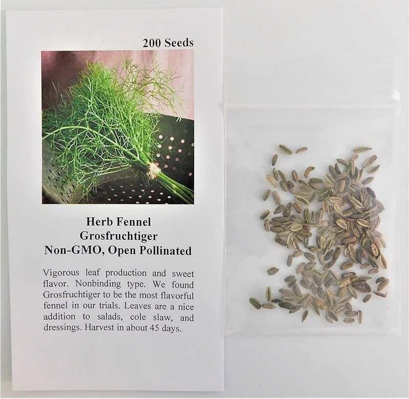 CYBEXIS NDIR-17 - Fennel Grosfruchtiger - (2250 Seeds) Seed  (2250 per packet)