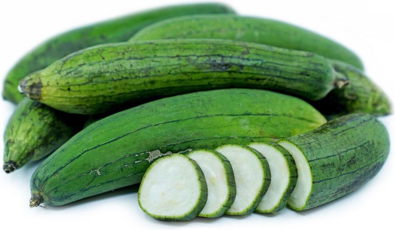 UGRA Smooth Sponge Gourd Seed  (150 per packet)