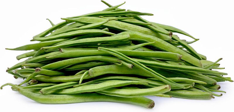 HUSSN Hybrid Cluster Beans Seed  (59 per packet)