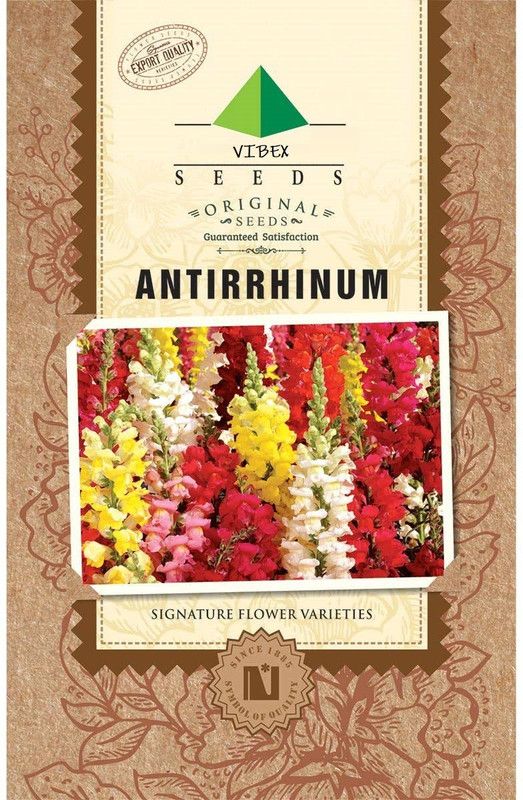 CYBEXIS Chinese Lanterns' Antirrhinum pendula multiflora 'Chinese Lanterns' F1 Hybrid Seed  (50 per packet)