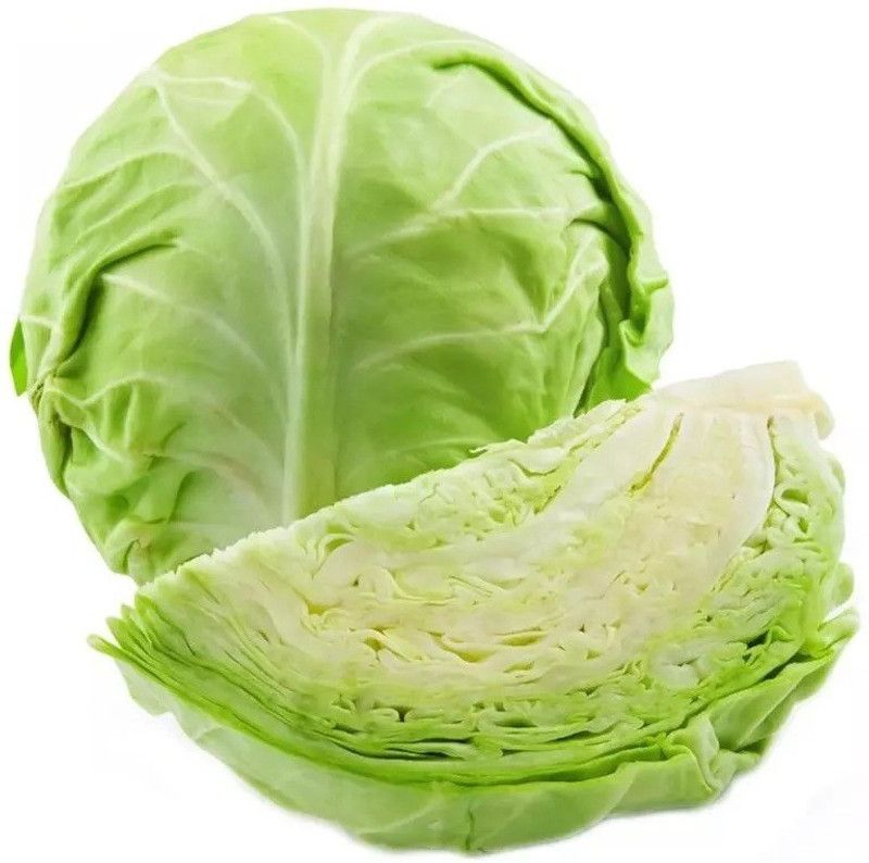 MYLAWN Round green Cabbage Seed  (200 per packet)