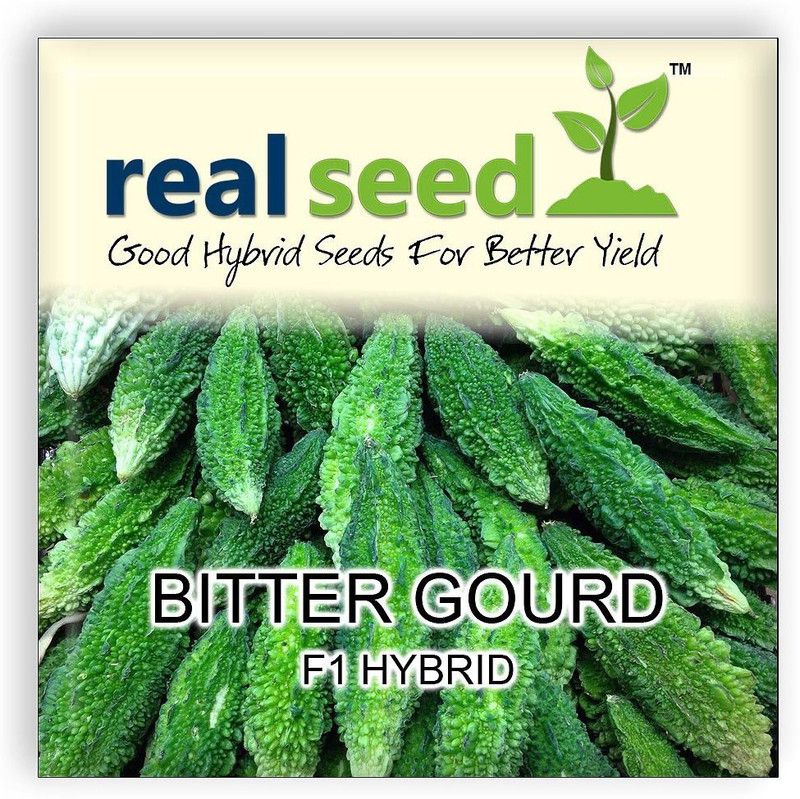 GRAH PRAVESH ™ Bitter Gourd (Karela) F1 Hybrid Imported Vegetable Seeds Seed  (200 per packet)