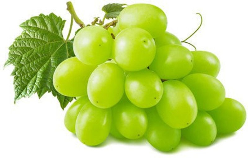 Nodoc Grapes Seed  (41 per packet)