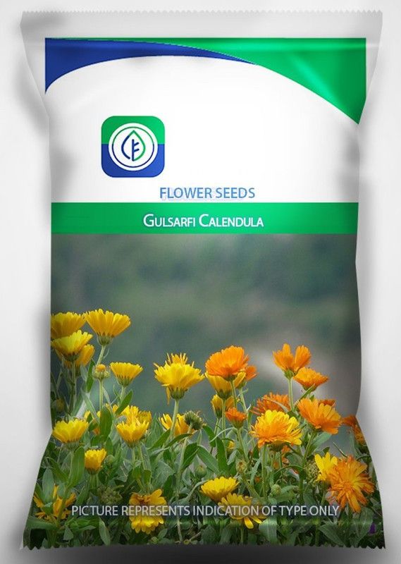 CYBEXIS Mixed Calendula Mixed Colour Flower Seed  (50 per packet)