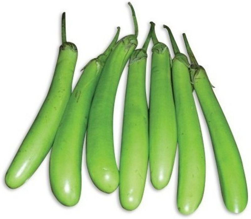 XOLDA Hybrid Brinjal green long Seed  (59 per packet)