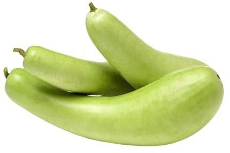 KANAYA Long BottleGourd(Lauki) Seed  (200 per packet)