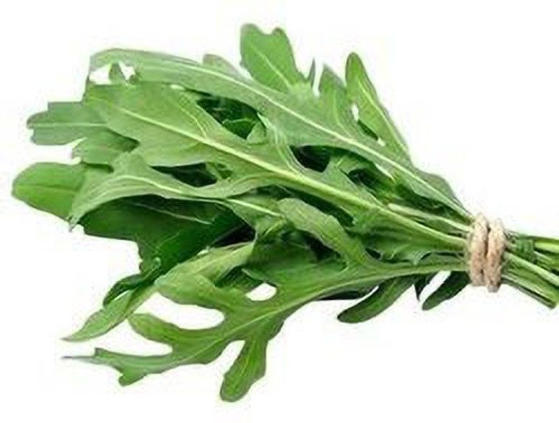 XOLDA Rocket Leaf Seed  (52 per packet)